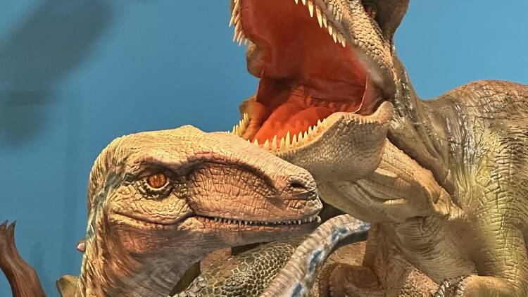 Roar & Explore with Dinosaurs at Miami Children’s Museum