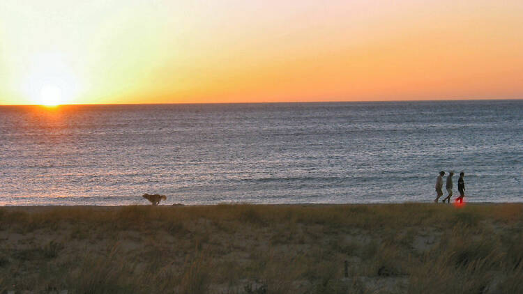 Seacliff Beach