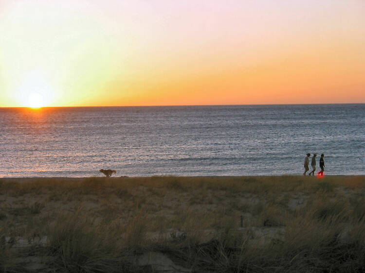 Seacliff Beach