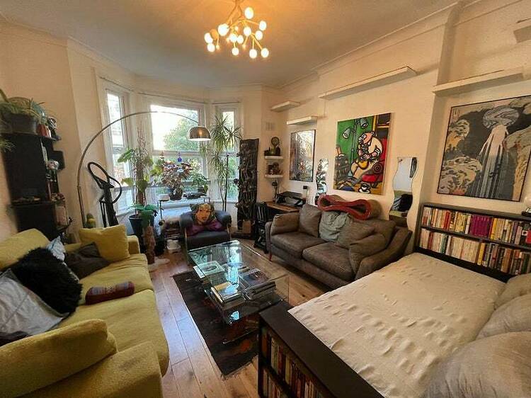 Two cats are advertising a single bed in a Kensal Rise living room
