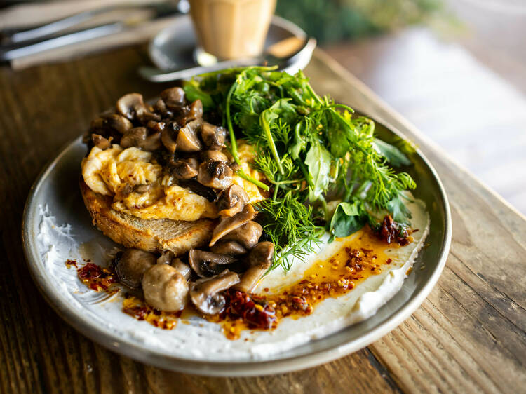 Laneway Speciality Coffee, Darwin