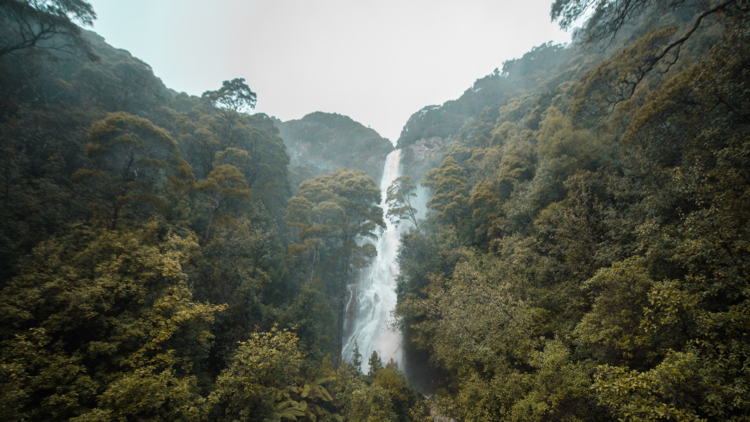 Montezuma Falls, TAS