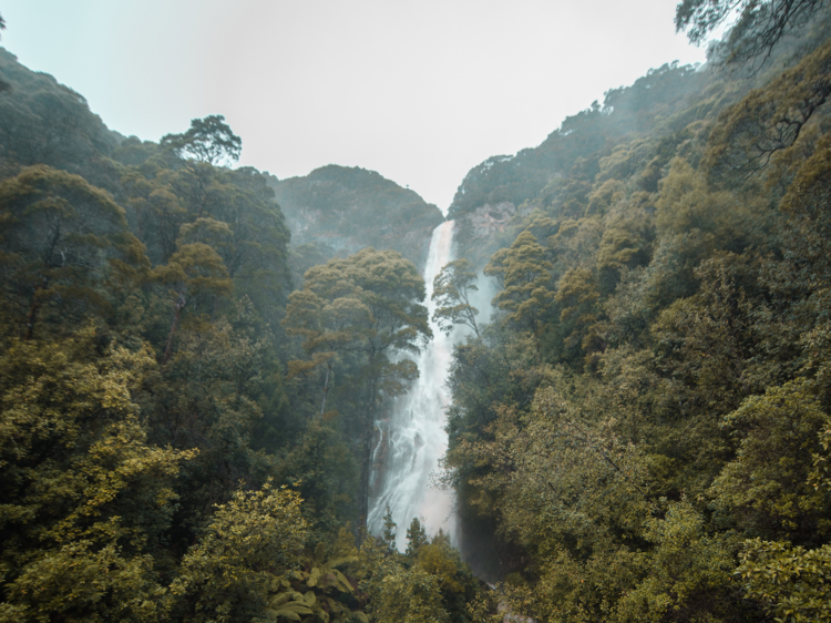 Montezuma Falls, TAS