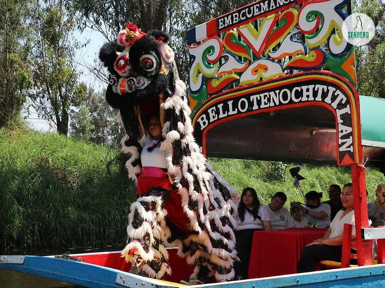 No te pierdas el Festival del Barco del Dragón en Xochimilco, ¡es gratis!