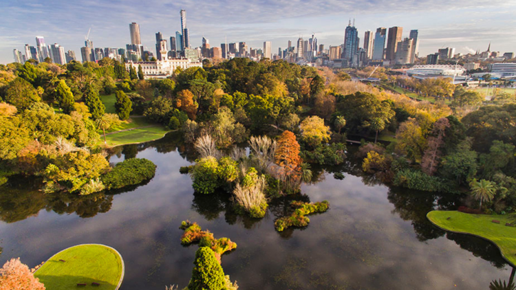 Royal Botanic Gardens seen from above