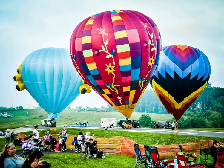 Chester County Balloon Festival | Kennett Square, PA