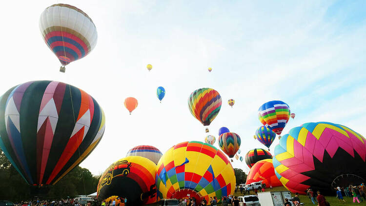 Carolina Balloon Fest | Statesville, NC