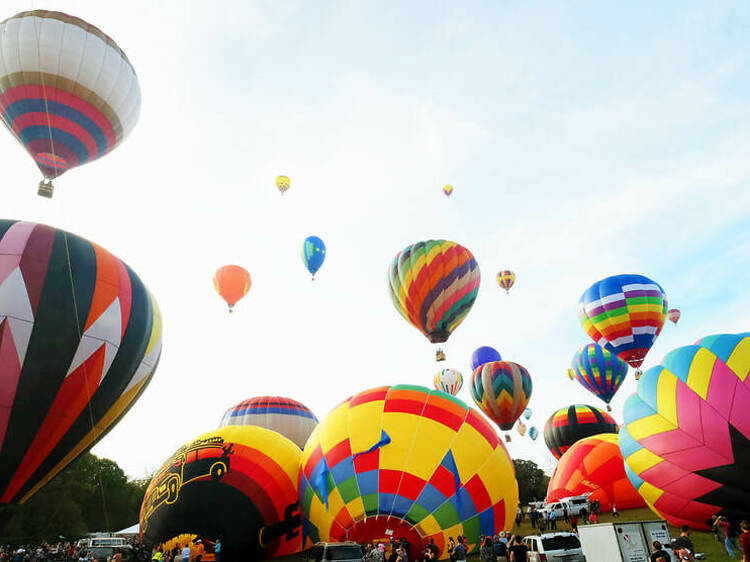 Carolina Balloon Fest | Statesville, NC