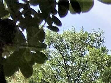 Casas de campo para un finde rural Casas de campo para un finde rural