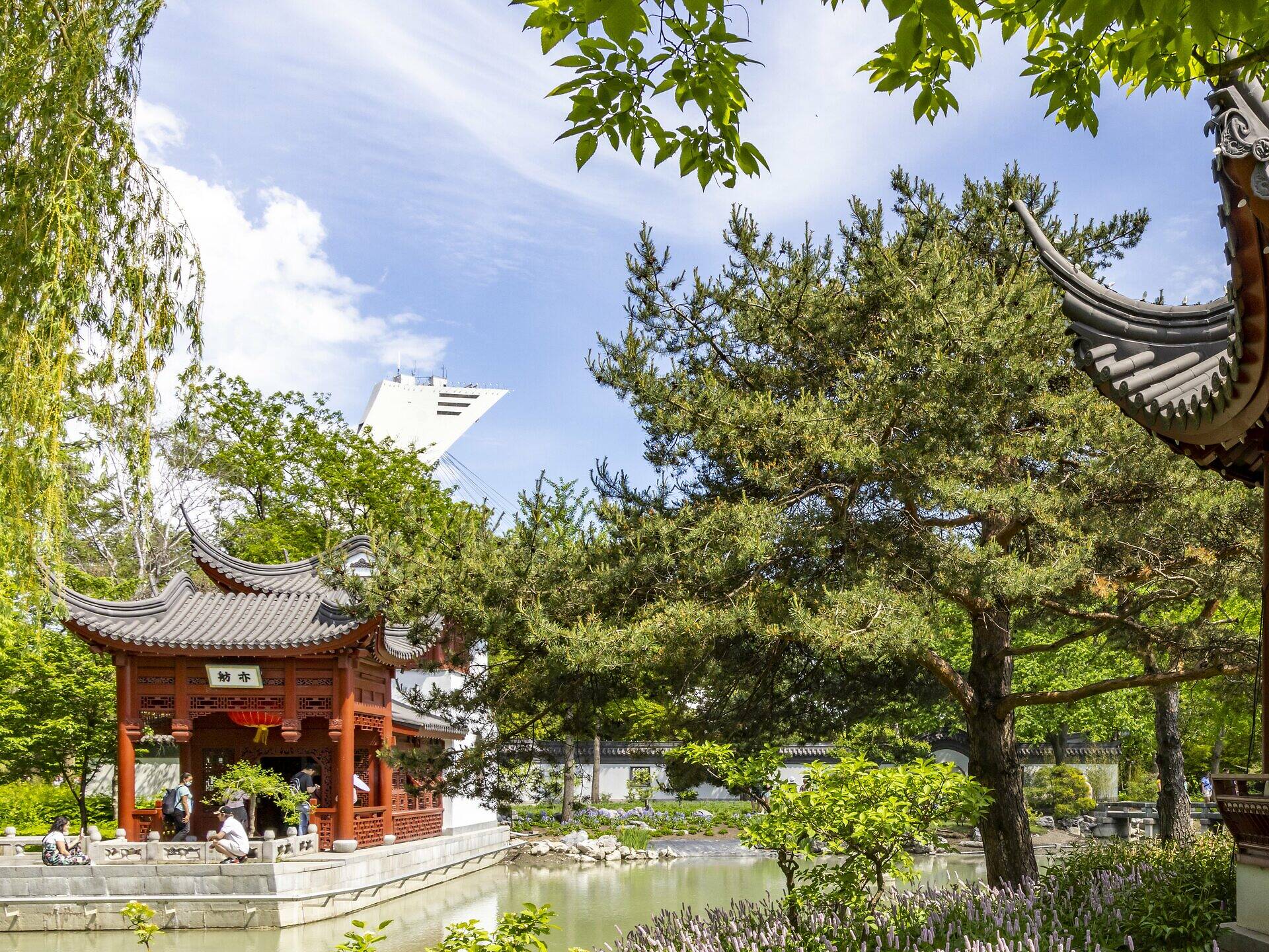 50 Best Things to Do in Montreal
