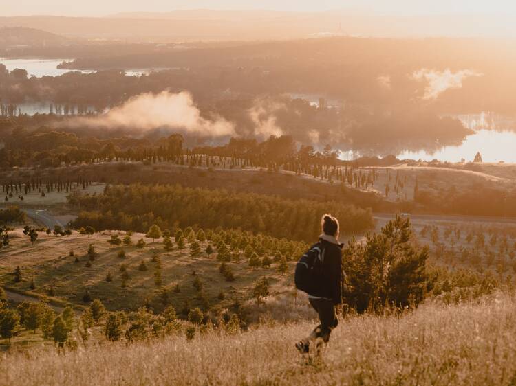 Dairy Farmers Hill Track