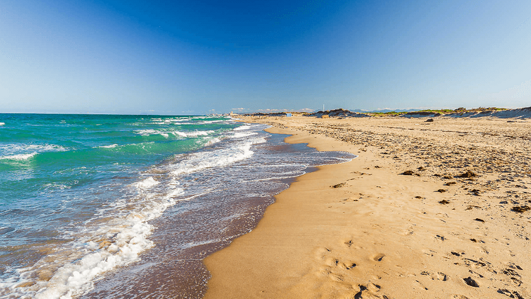 Platja de la Devesa (Valencia)