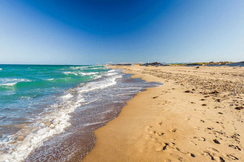 Playa La Devesa. Valencia