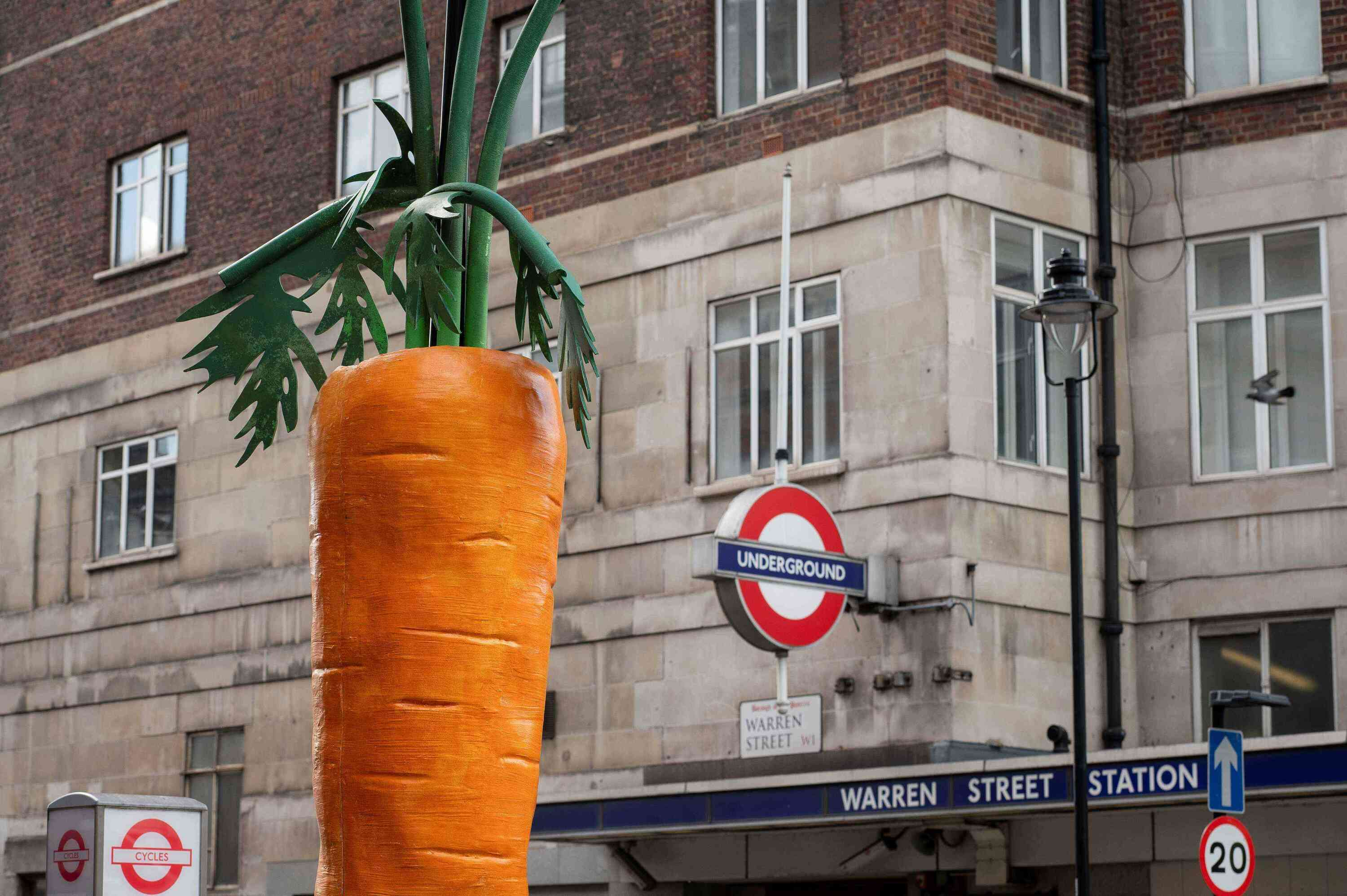 Why have these giant carrot sculptures popped up in Fitzrovia?