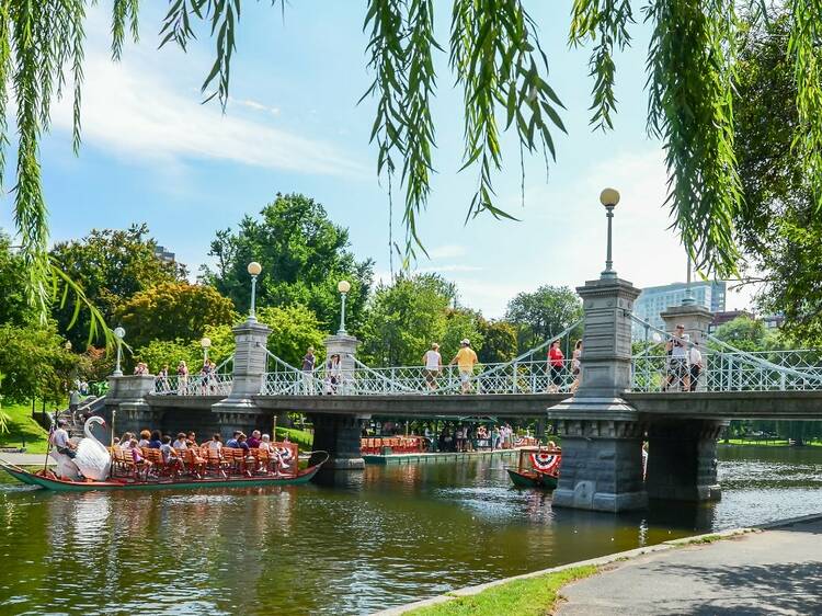 Swan Boats