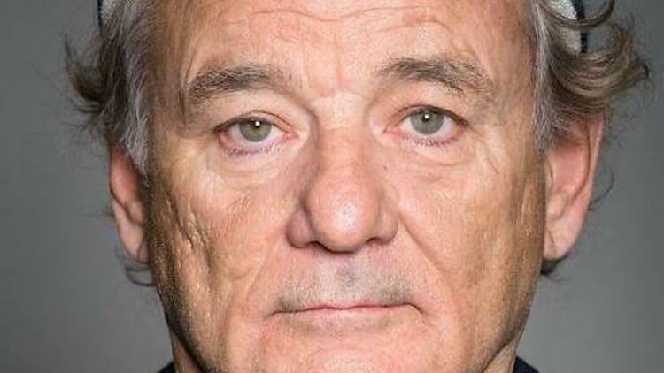 Bill Murray