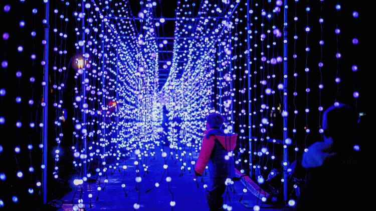 A child walking through a light installation with strings of hanging lights. 