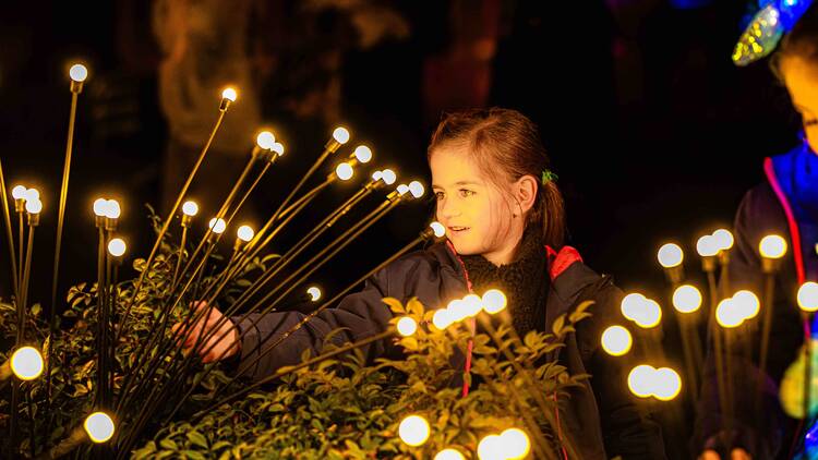  A child touching illuminated flowers. 