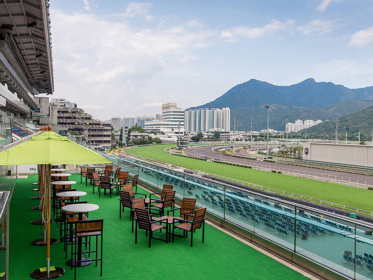 Make the most of the Twilight Race Meetings with these unmissable experiences