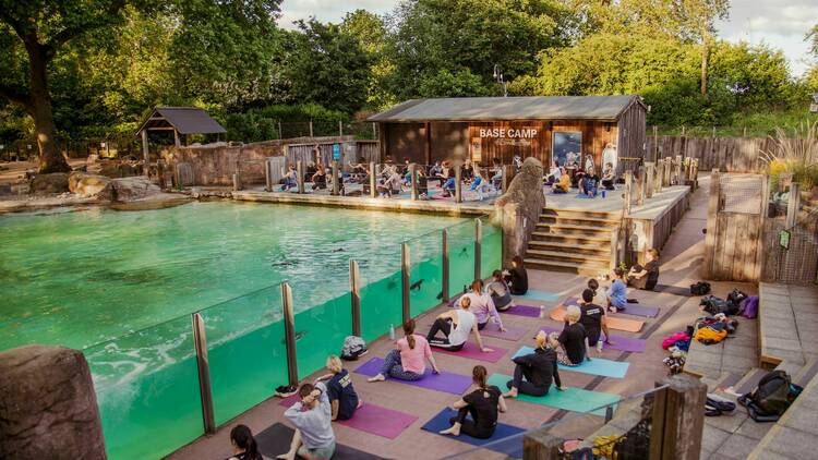 East of Eden Yoga classes at London Zoo