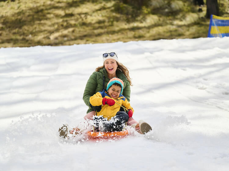 Ride the longest alpine slide