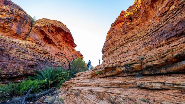 Kings Canyon Rim Walk