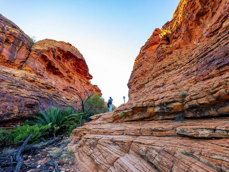 Kings Canyon Rim Walk