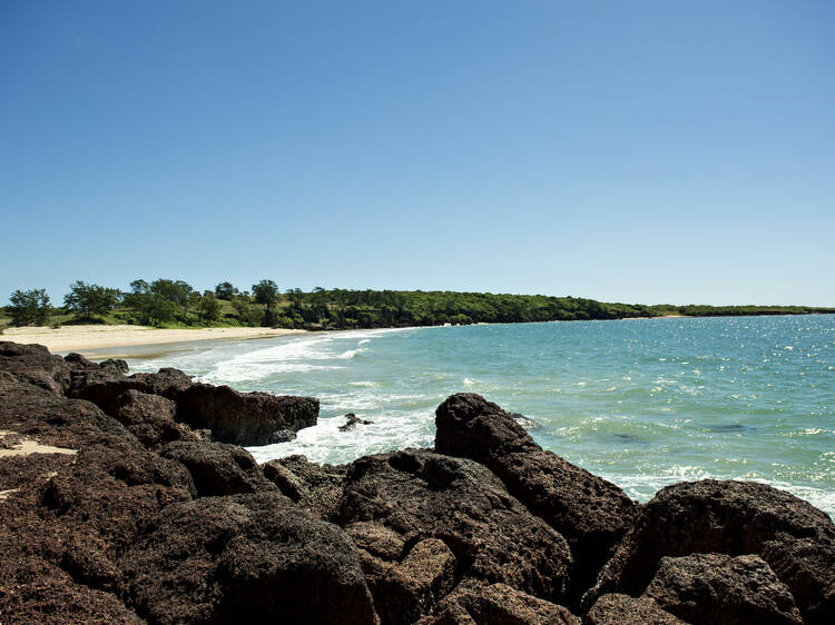 Dhimurru Coastal Walking Trail