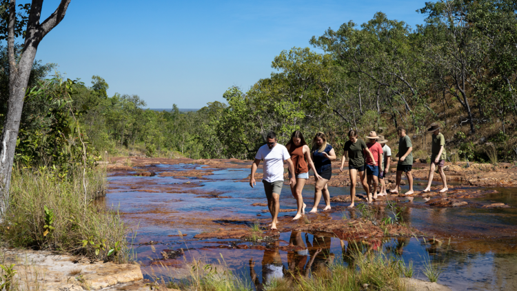 Litchfield Upper Cascades Walk