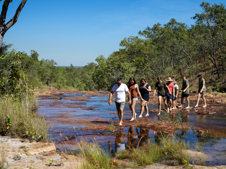 Litchfield Upper Cascades Walk