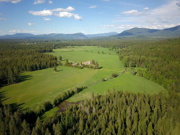 Cedar Mountain Farm | Athol, Idaho