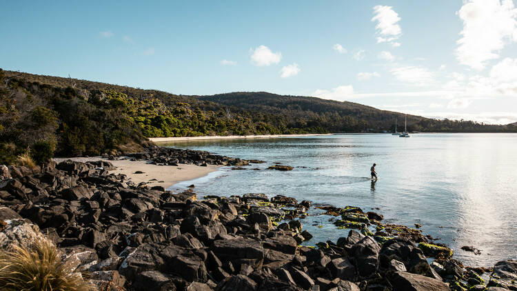 Cockle Creek