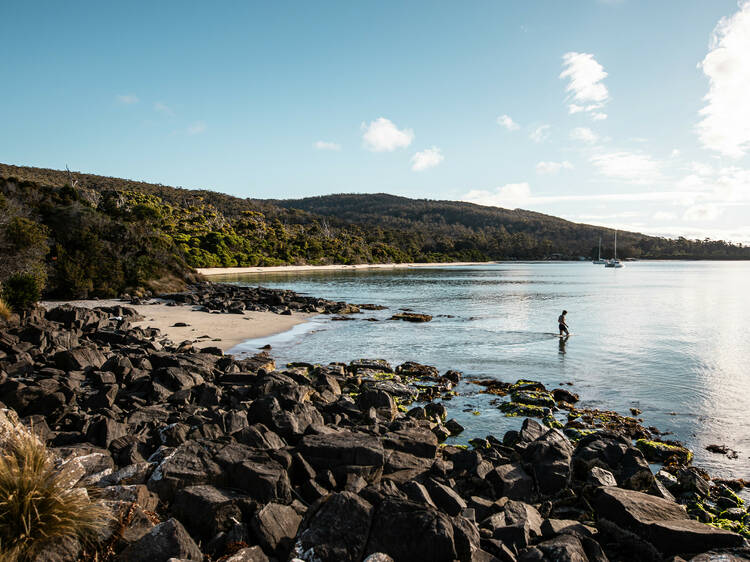 Cockle Creek