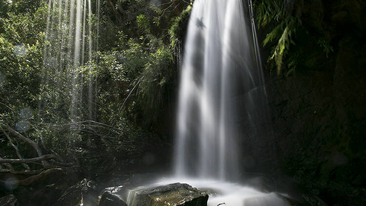 Winifred Falls, NSW