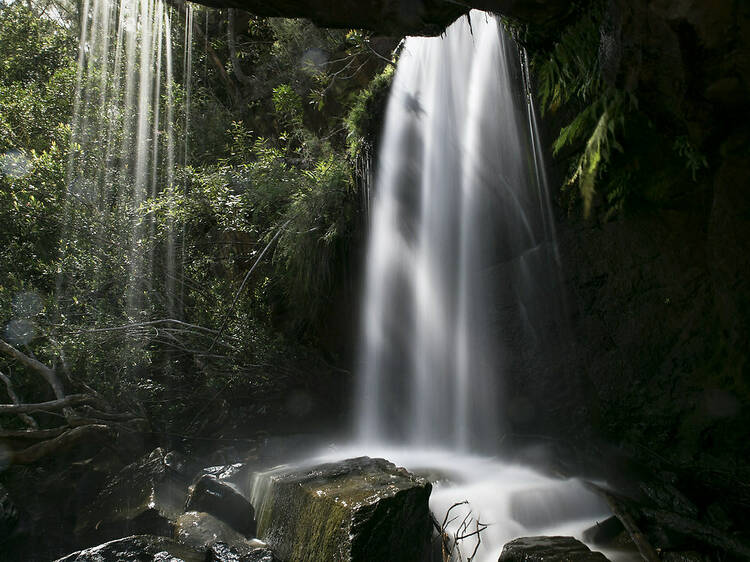 Winifred Falls, NSW