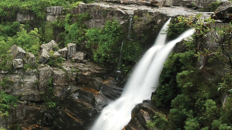 Carrington Falls and Nellie’s Glen, NSW