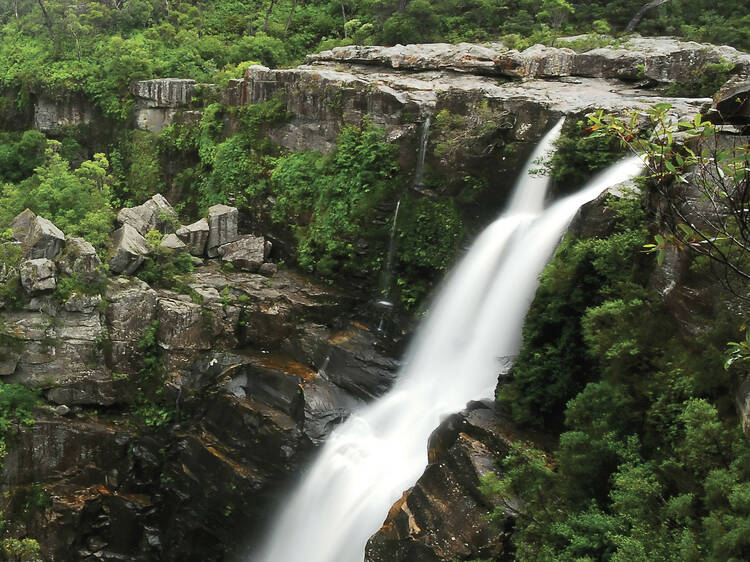 Carrington Falls and Nellie’s Glen, NSW