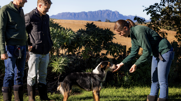 Taste your way around one of Tassie's newest food and drink festival, TAS