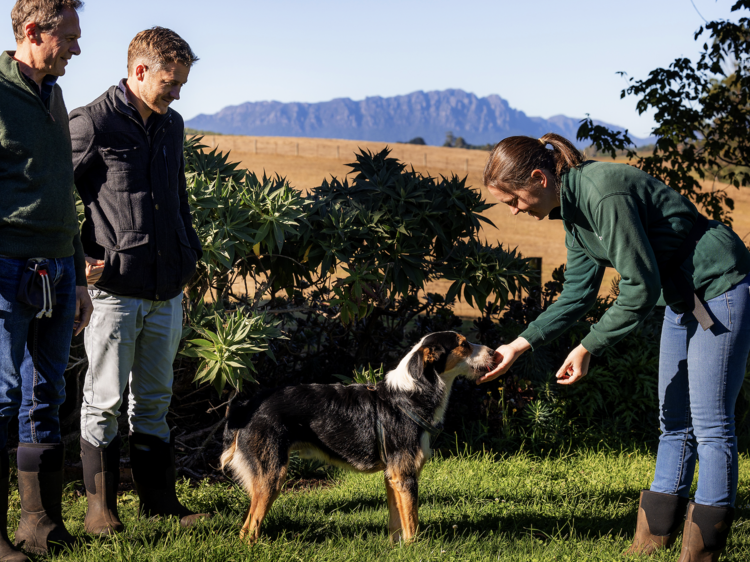 Taste your way around one of Tassie's newest food and drink festival, TAS