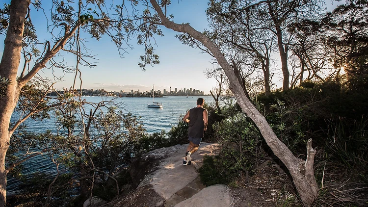 Tản bộ qua các bãi biển bí mật trên cung đường Hermitage Foreshore - Hermitage Foreshore Walk, Vaucluse