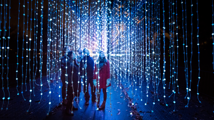 Light show with illuminated fairy light strings