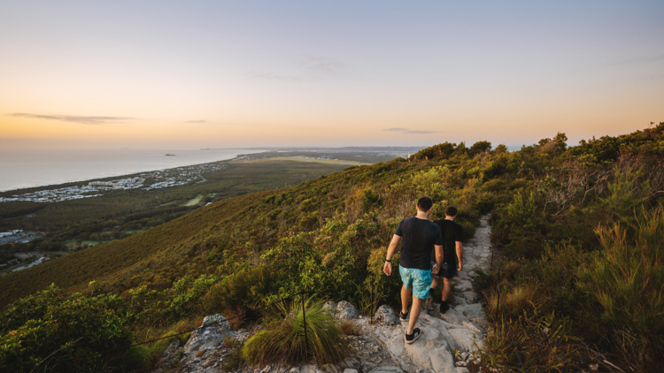 Mount Coolum Summit Track, QLD