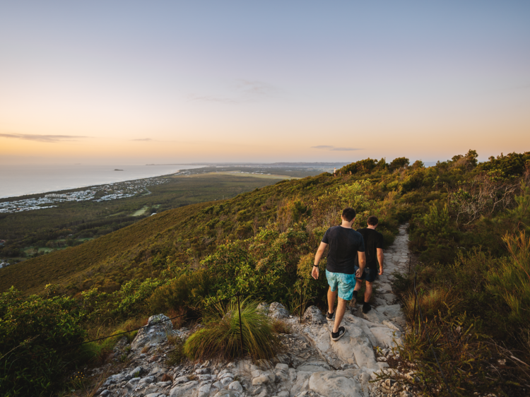 Mount Coolum Summit Track