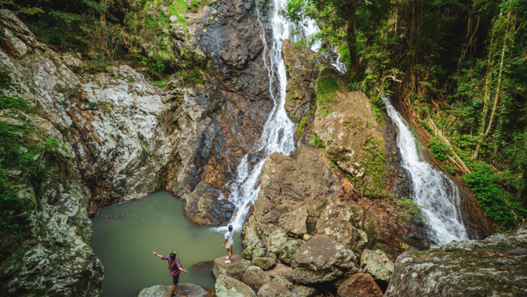 Plunge into Kondalilla Falls