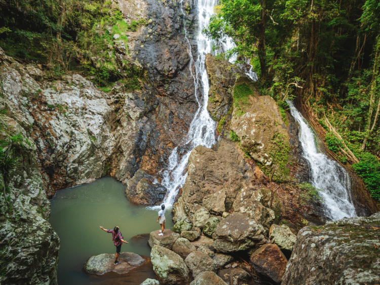 Plunge into Kondalilla Falls