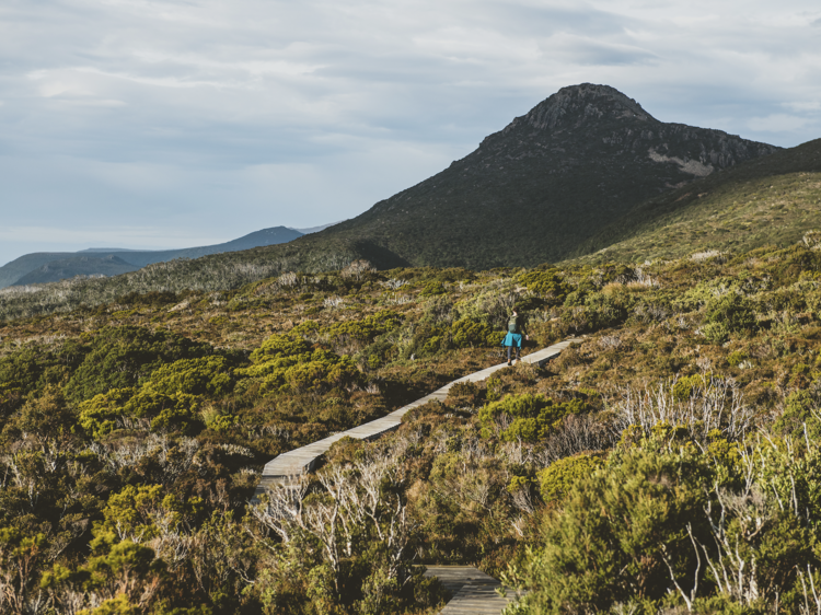 Hartz Peak trail with greenery surrounding track