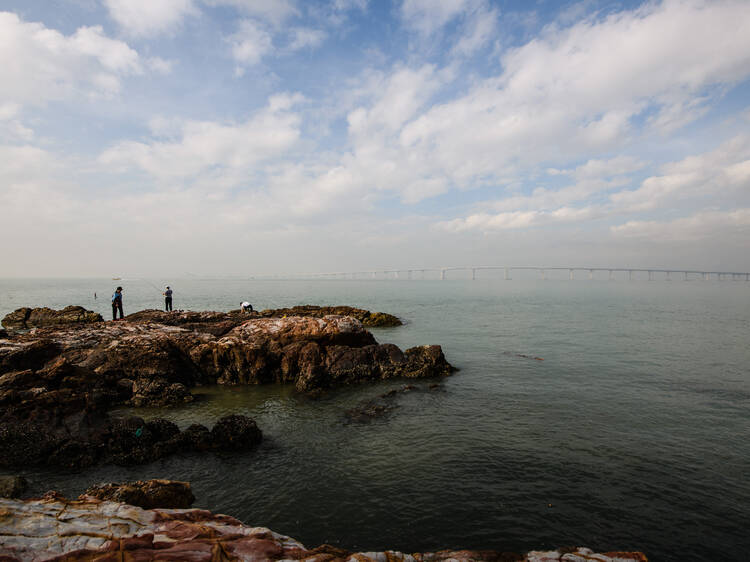 Hong Kong's newest and largest marine park is in the works