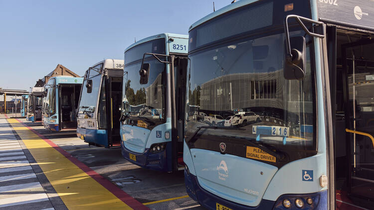 Bus fleet at bus depot in Leichardt