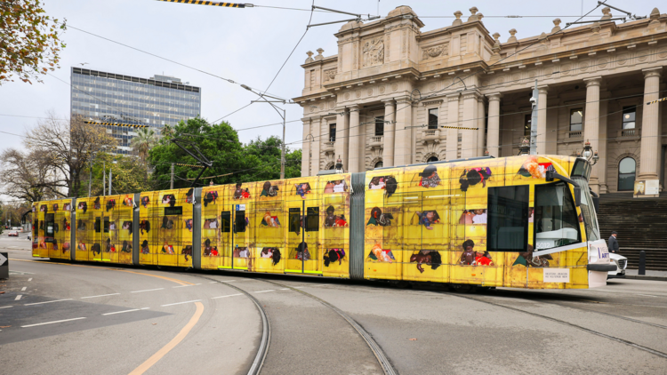 A yellow art tram passes state parliament