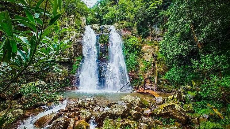 Immerse yourself in nature at the Minnamurra Rainforest Centre